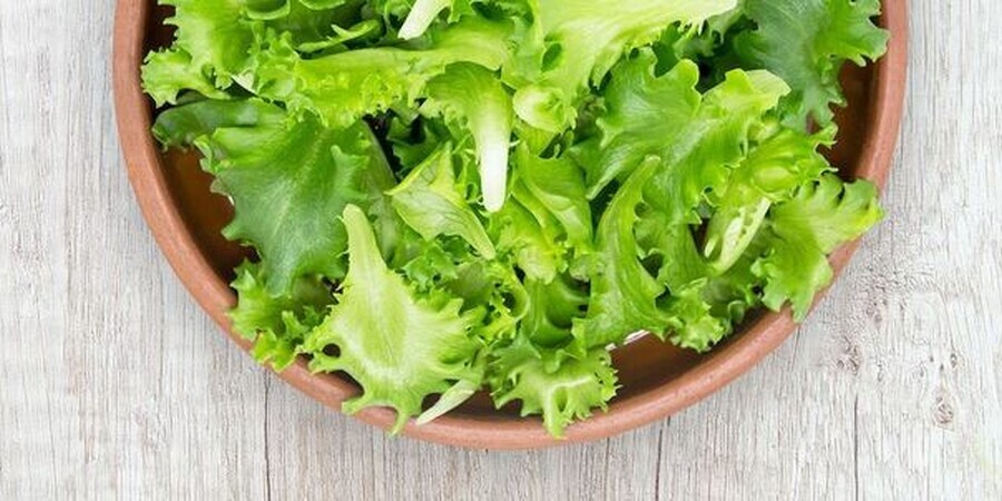 Just Salad Rittenhouse Square Philadelphia