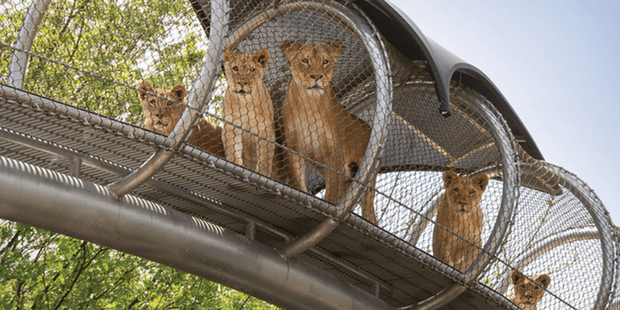 Philadelphia Zoo to Remain Open