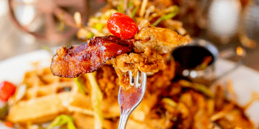 Hash House A Go Go - NJ Review