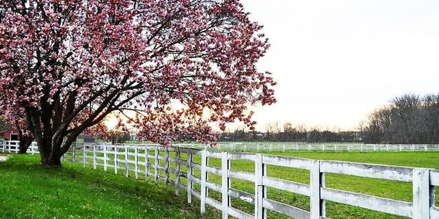 Gettysburg Pa. Spring Time Get Aways