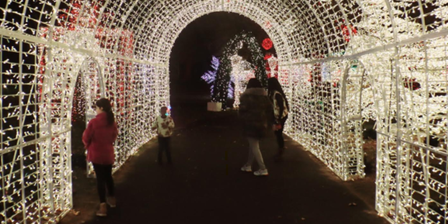 Tinseltown: A Magical Holiday Extravaganza in FDR Park