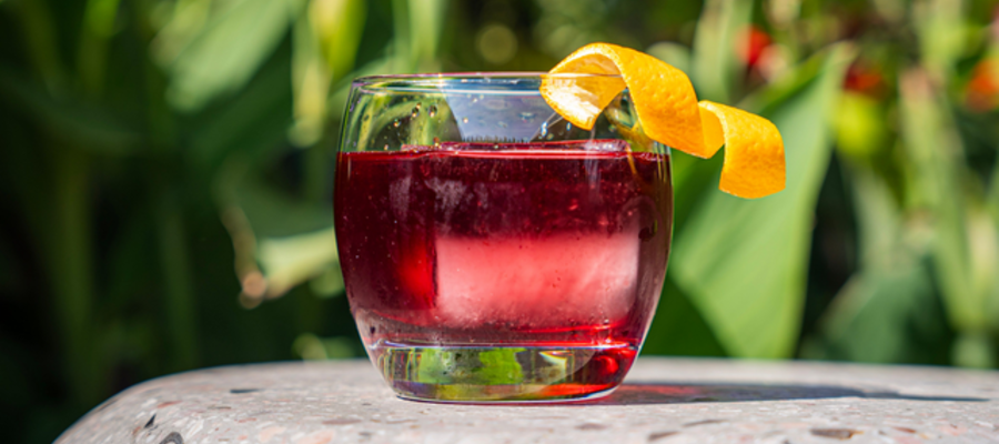 Celebrate Negroni Week with the Best Negronis in Philadelphia!
