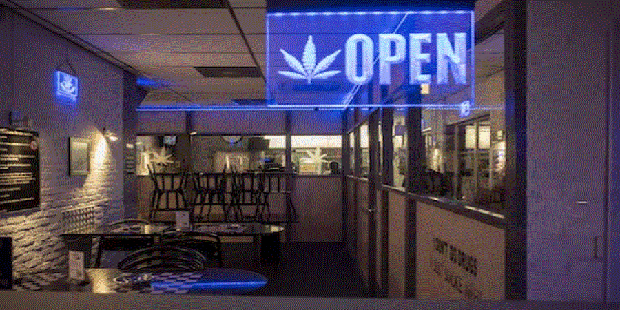 Must-Try Cannabis-Infused Restaurants