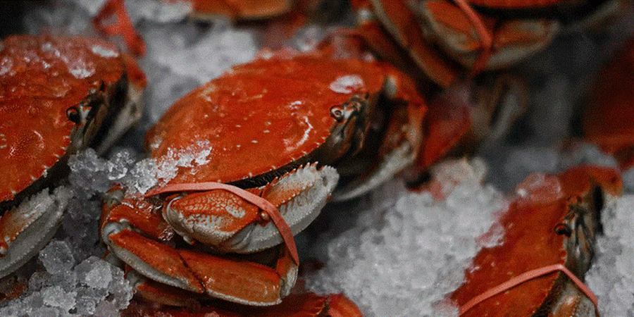 Five Best Crab Houses in Maryland's Chesapeake Bay