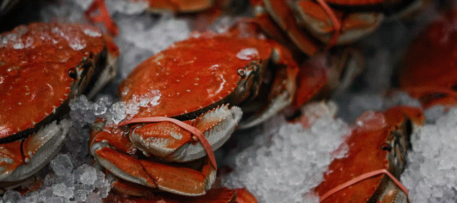 Maryland's Best Seafood Restaurants