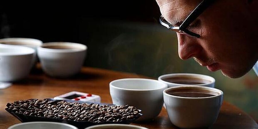 Coffee Cupping Guide: How Professionals Taste Coffee