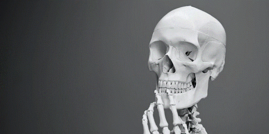 Medical Museums in Philadelphia