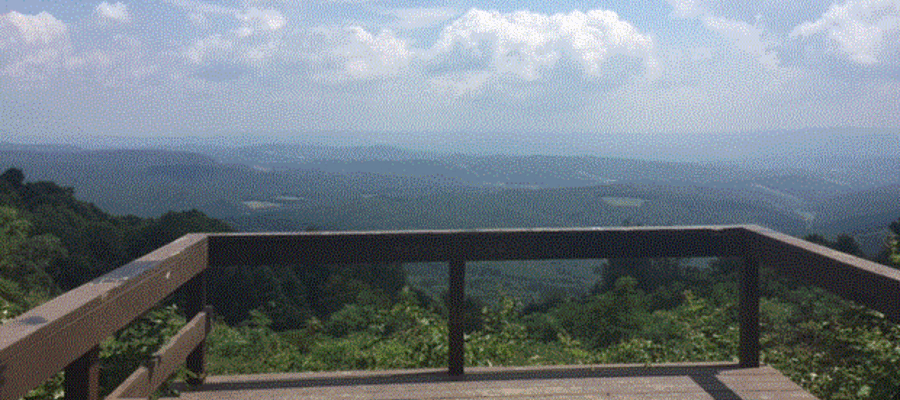 Exploring Skyline Drive Vista in the Gallitzin State Forest