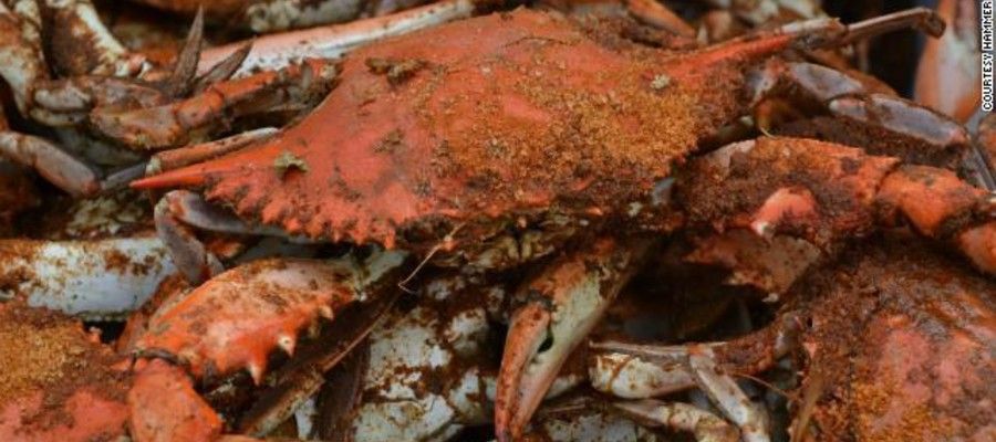 8 Must-Try All-You-Can-Eat Crabs in Maryland