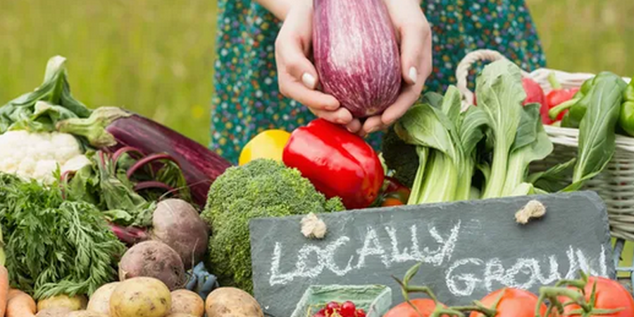 Mount Holly Farmers Market In The Heart Of Downtown