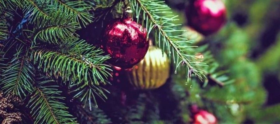  Philadelphia's Christmas Tree Recycling Program 