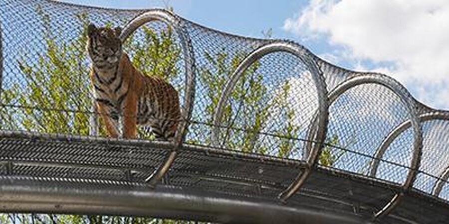 Zoo 360 - Animals at the Philadelphia Zoo