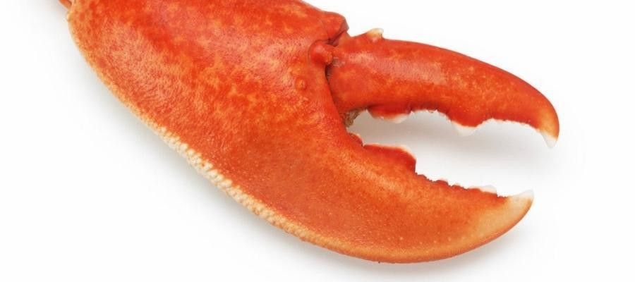 How To Remove Lobster From The Shell