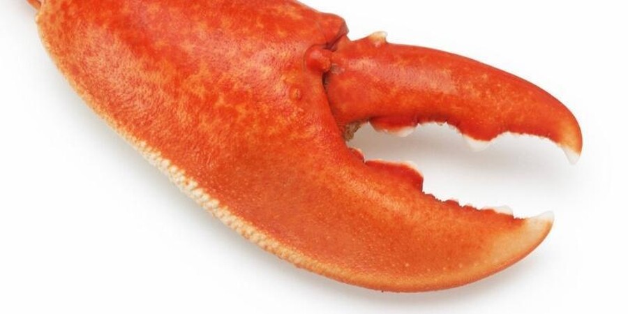 How To Remove Lobster From The Shell