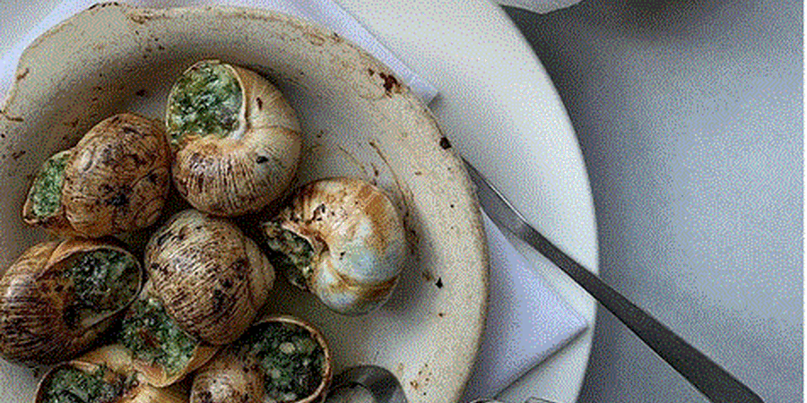 5 Best Must-Try Escargot Spots in Philadelphia