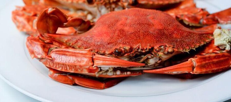 8 of Our Favorite Crab Houses in Maryland