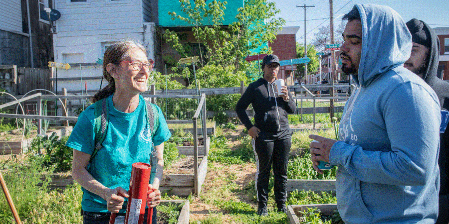 Volunteer to Plant Trees in Philadelphia Region