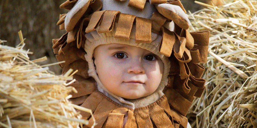 Boo at the Zoo Returns for Another Howl-oween Season!