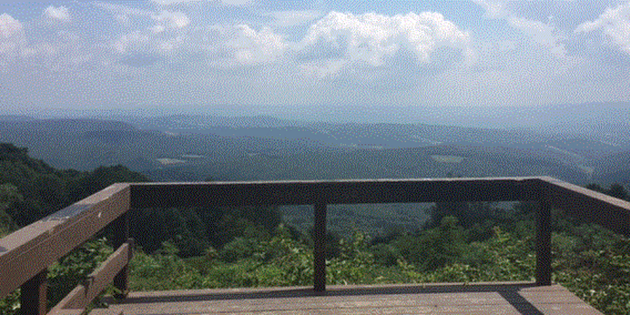 Exploring Skyline Drive Vista in the Gallitzin State Forest