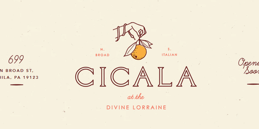 Cicala at the Divine Lorraine