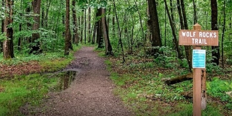 Exploring Wolf Rocks Overlook in the Forbes State Forest