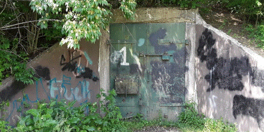 The Abandoned Alvira Bunkers in Union County