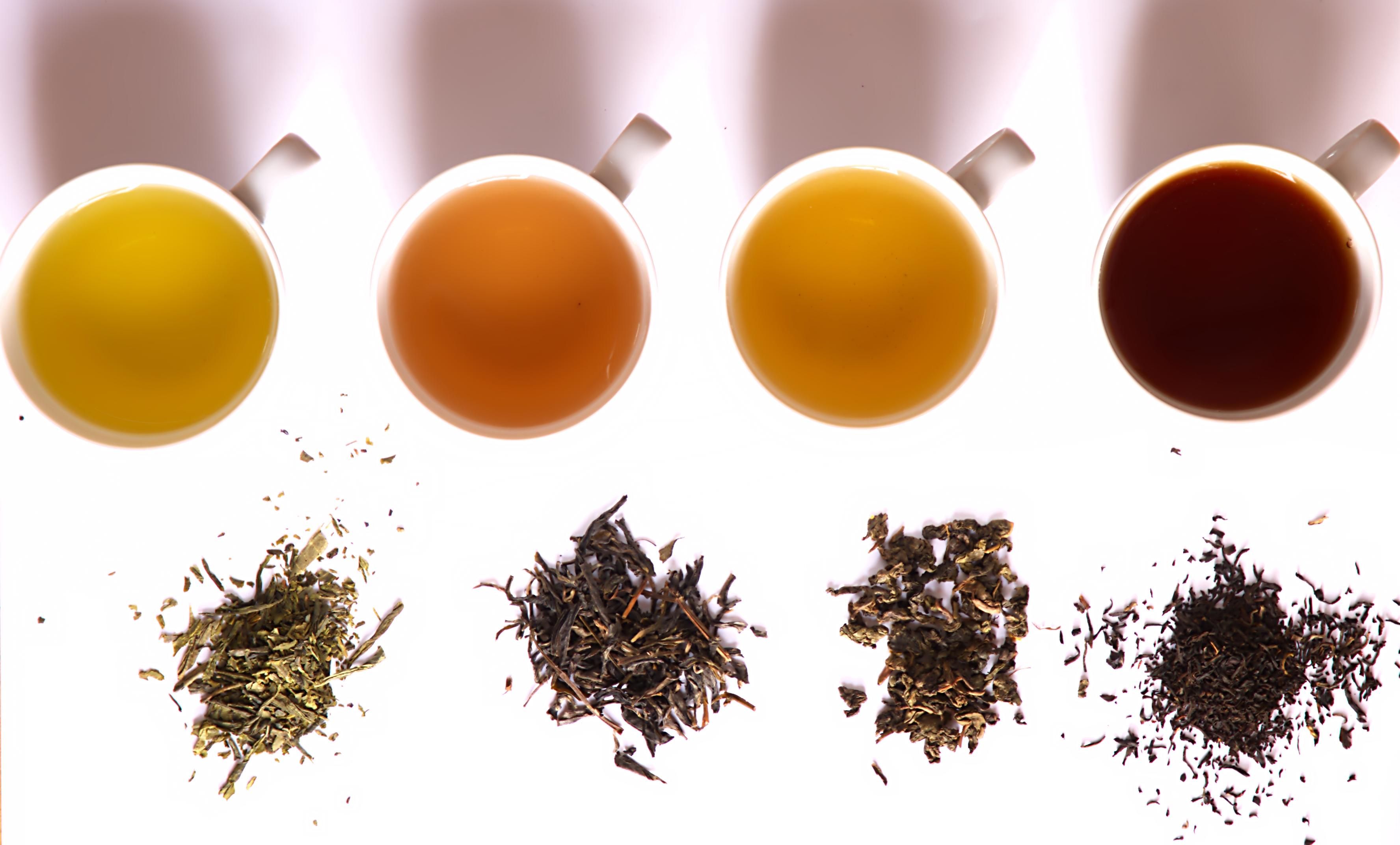  Drinking Tea for a Healthier Body and Mind