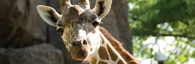 Philadelphia Kid Friendly Tourist Attractions