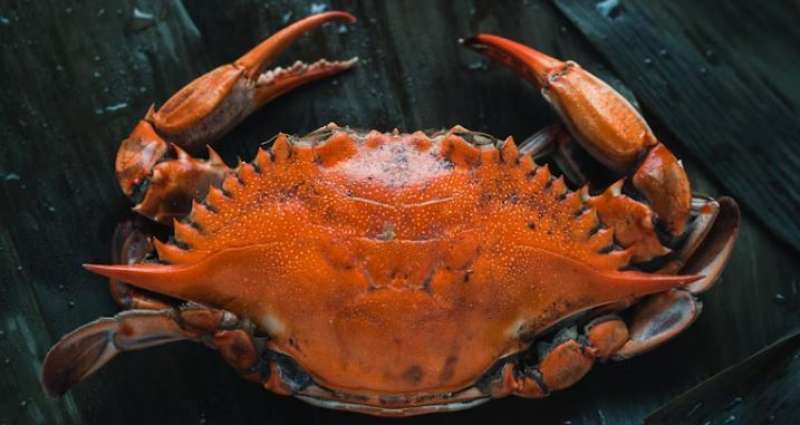 5 Hidden-Gem Georgia Crab Houses