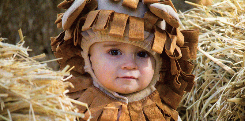 Philadelphia Zoo's ‘Boo at the Zoo'