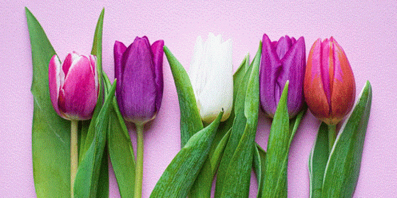 The History of Easter in Pennsylvania: A Cultural Tapestry