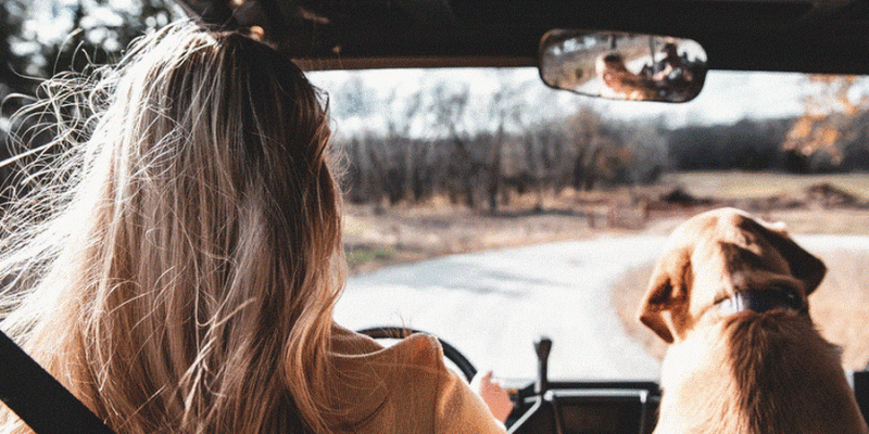 What is The Longest Road in Virginia?