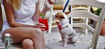 6 Best Dog-Friendly Restaurants in Cape May, NJ