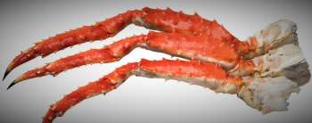 Crafting the Perfect Seafood Boil Sauce