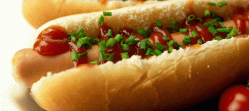 6 Best Jersey Shore Hot Dogs