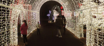 Tinseltown: A Magical Holiday Extravaganza in FDR Park