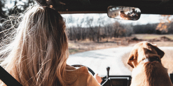 What is The Longest Road in Virginia?