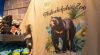 Philadelphia Zoo Unveils State-of-the-Art $25 Million "Carey Bear Country"
