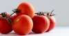 What to Do With All Those Jersey Tomatoes?