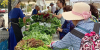 The East Passyunk Farmers' Market